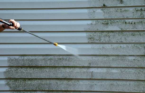 Best Pressure Washing Services for Businesses  in Rochelle, IL