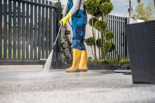 Best Concrete Pressure Washing  in Rochelle, IL