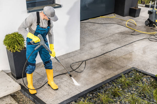 Best Deck Cleaning Services  in Rochelle, IL