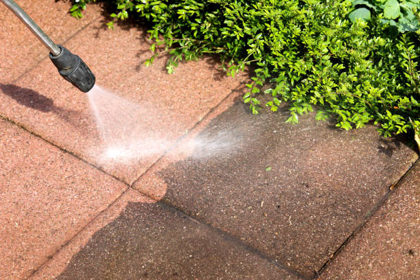 Best Roof Pressure Washing  in Rochelle, IL